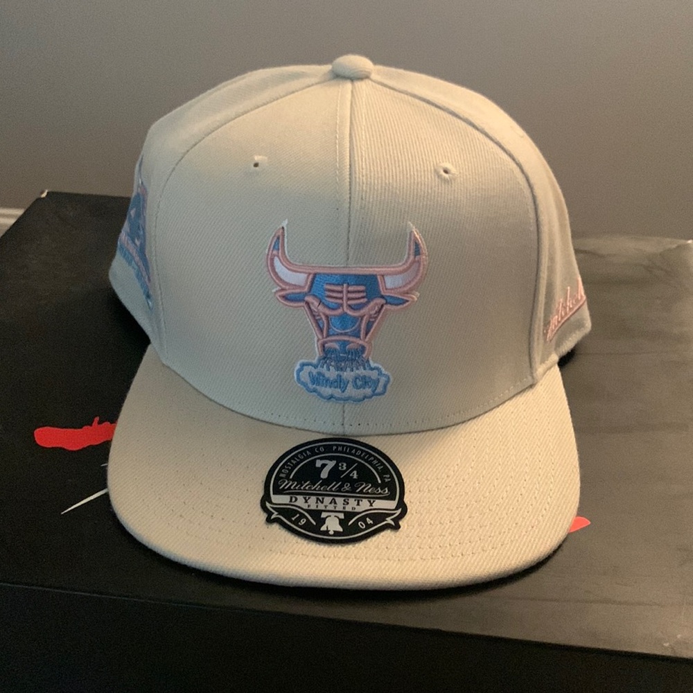 Chicago bulls Hat